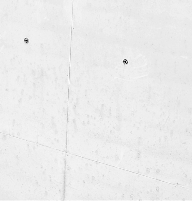 Eksponētā betona konstrukcijas